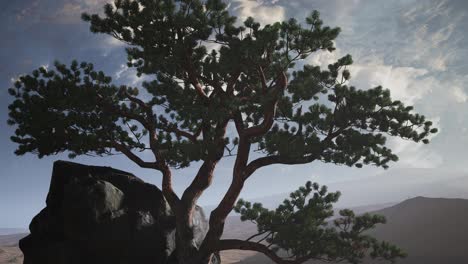 Pine-Tree-Desert